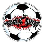 Full Color Round Car Magnet - 5-3/4