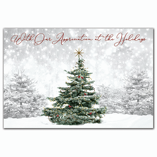 Spruced Up Holiday Postcards