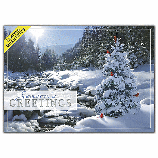 Sweet Seclusion Holiday Cards
