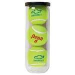 Penn Championship Tennis Balls