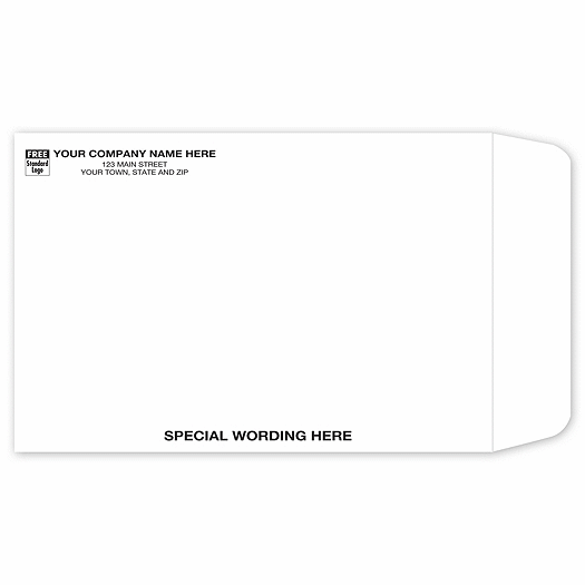 White Tyvek Envelope