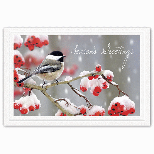 Tweet Greetings Holiday Postcards