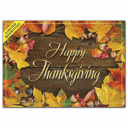 Autumn Shine Thanksgiving Cards