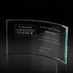 Times Award - Large