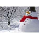Snowman Kit
