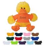 6" Delightful Duck With Shirt