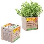Wooden Cube Blossom Kit
