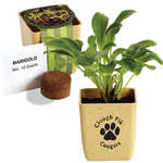 Flower Pot Set with Marigold Seeds