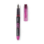 Zebra Fountain Pen