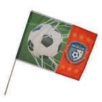 Full Color Fan Flags - 14