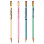Round Pencil Pastels