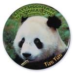 Round One Piece Button - 3