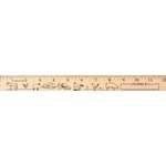 Farm Animals "U" Color Ruler