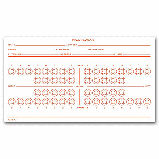 Dental Exam Record Slips, Numbered Teeth System B