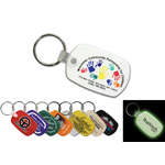 Standard Key Fob