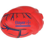 Anatomical Heart Stress Ball