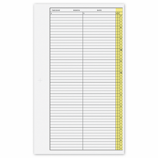 Insta- Vue  1 Year Refill 2 Column 15 Min