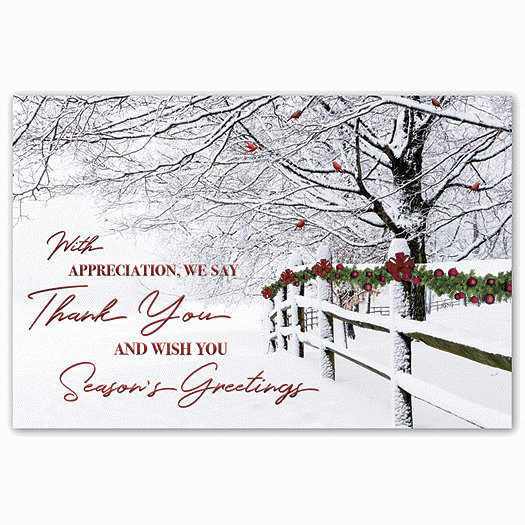 Winter Wishes Holiday Postcards