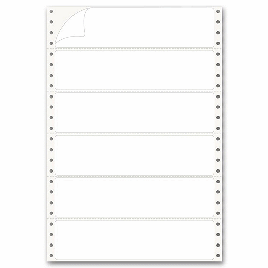 Pinfed Typing Strip Labels, 2