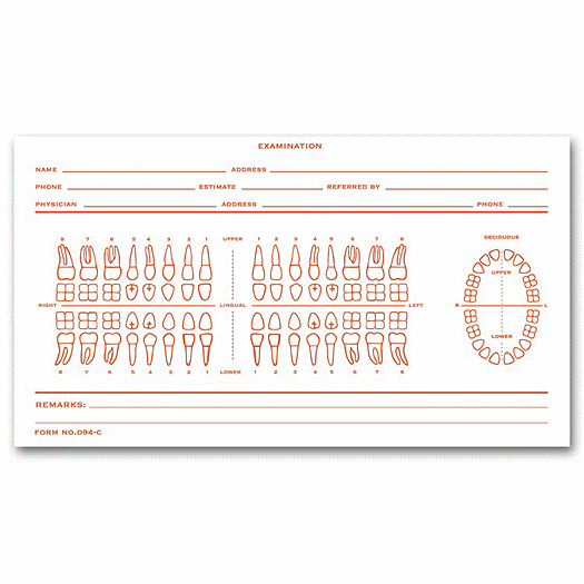 Dental Exam Card File Record, Numbered Teeth System C