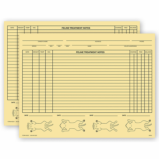 Veterinary Exam Records, Feline, Two - Sided, Buff