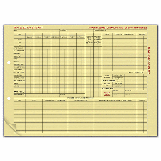 Travel Expense Report