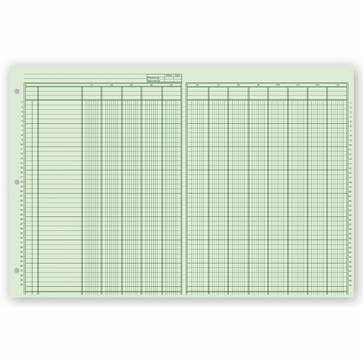 Columnar Pads, Ring Book, 13 Column