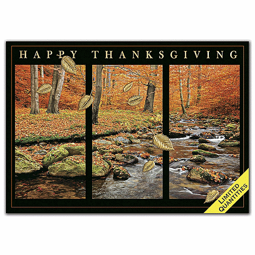 Over the River Thanksgiving Cards