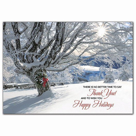 Striking Gratitude Holiday Cards