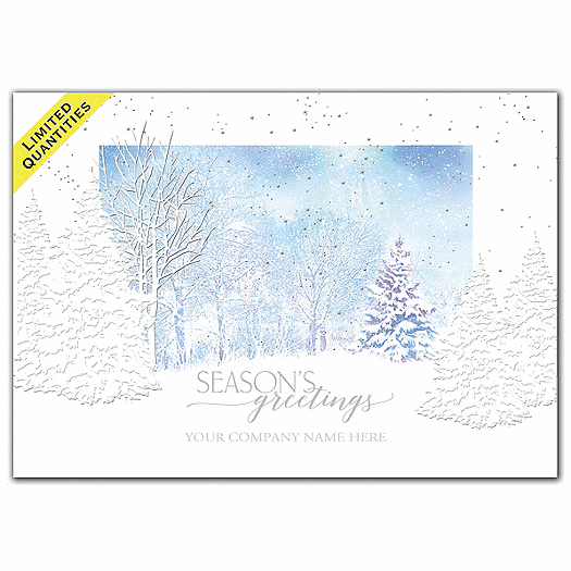 Winter Night's Dream Holiday Cards