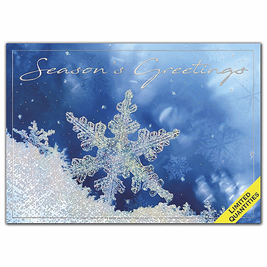 Frozen in Time Holiday Cards