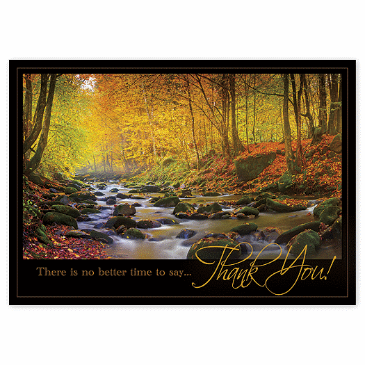Radiant Thanks Thanksgiving Cards