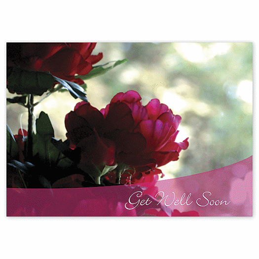 Magenta Flowers Get Well  Cards