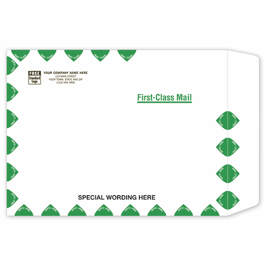 Tyvek First Class Mailing Envelope