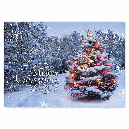 Beacon of Joy  Christmas Cards