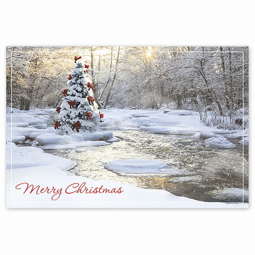 Tranquil Christmas Postcards