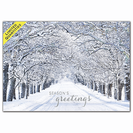 Crystal Lane Holiday Cards