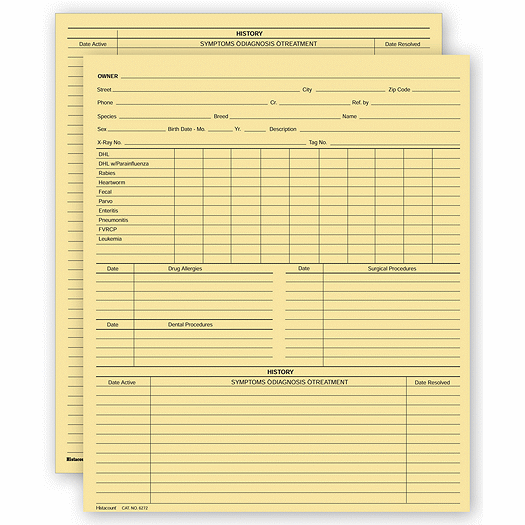 Vet Animal History Exam Record, 2 Sided, Letter Size