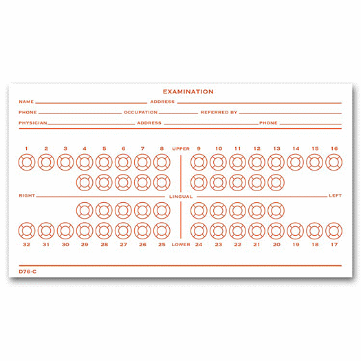Dental Exam Record Slips, Numbered Teeth System C