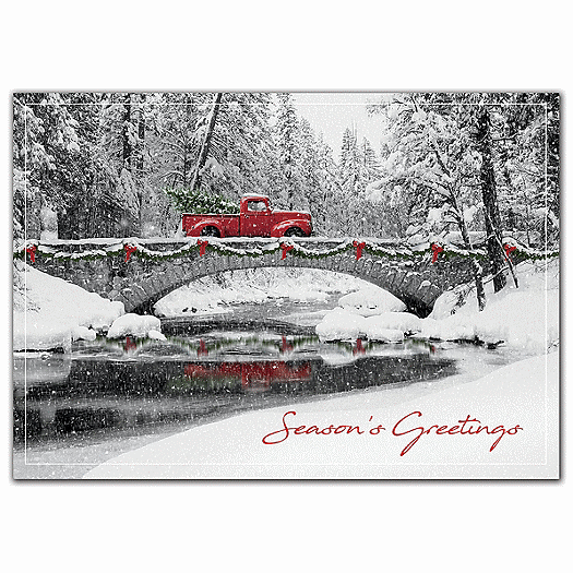 Homeward Bound Holiday Cards
