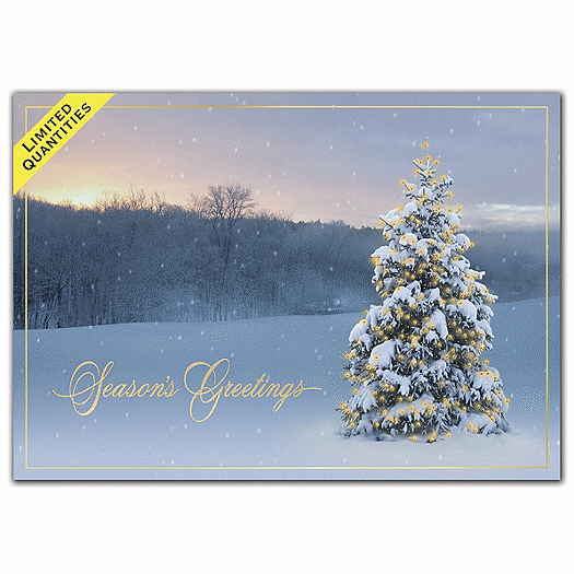 Morning Hush Holiday Cards