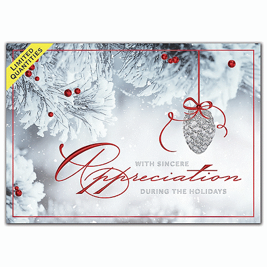 Full of Charm Holiday Cards