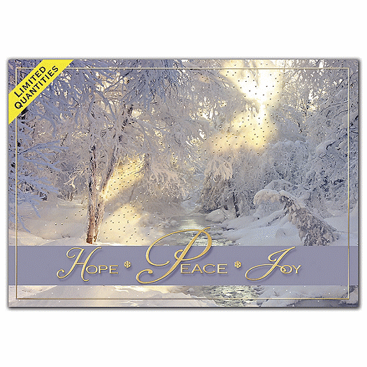 Blissful Mornings Holiday Cards