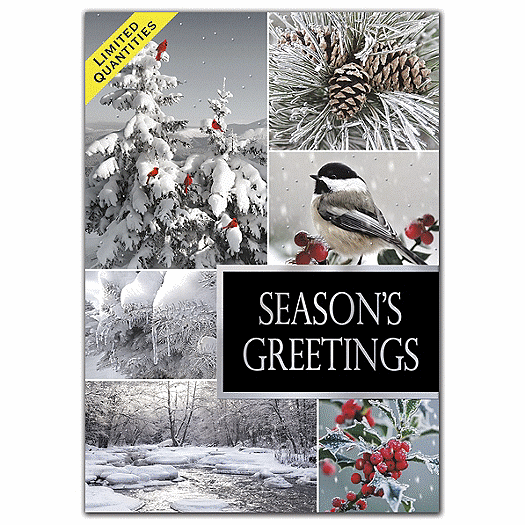 Winterland Holiday Cards