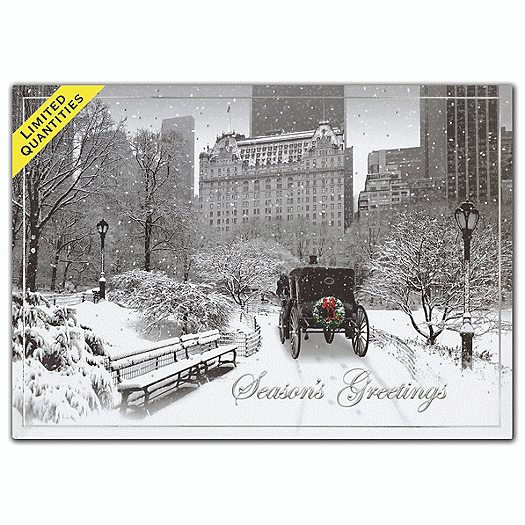Moment in Time Holiday Cards