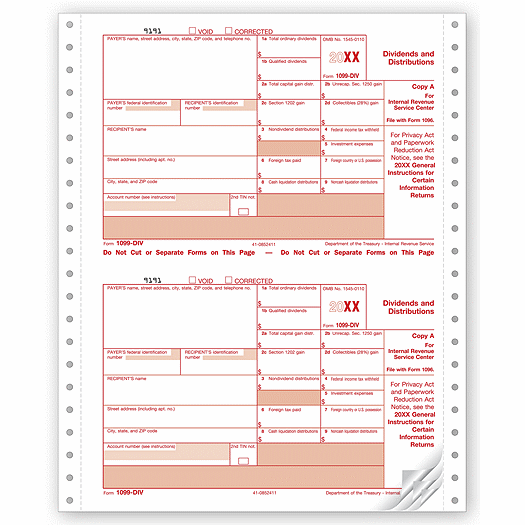 2020 Continuous 1099-DIV Income Carbonless Electronic Filing