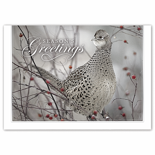 Feathered Friend Holiday Cards
