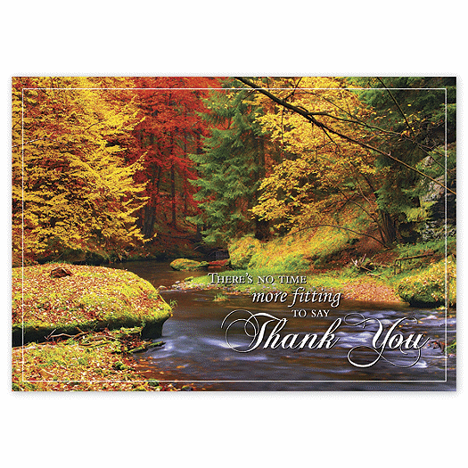 Splashes Of Color Thanksgiving Cards