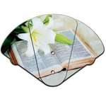 Bible Image Religious Stock Expandable Fan