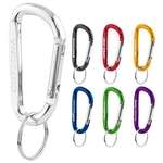 Carabiner Key Tag